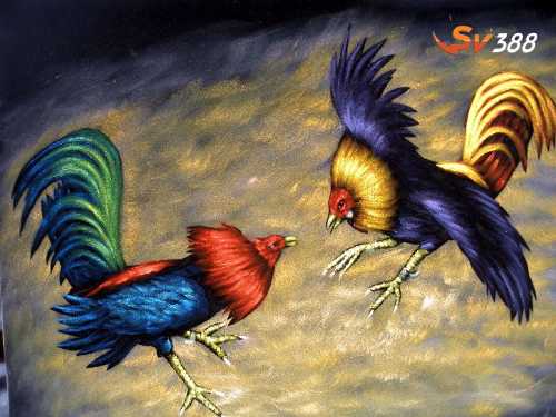 SV388 cung cấp sân chơi cá cược đá gà chuyên nghiệp